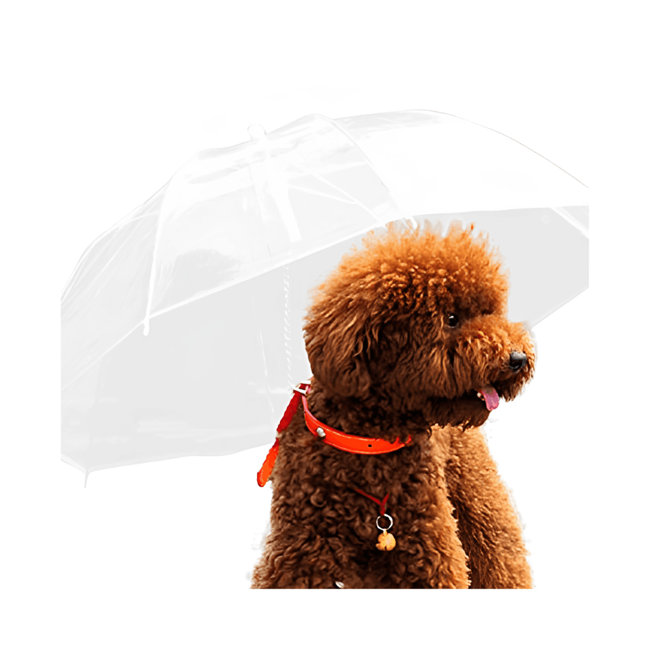 Sombrilla Mascota Transparente Portatil